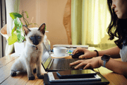 7 Must-Have-Produkte für Haustiere, die jeder Hunde- & Katzenbesitzer 2025 brauch - HomiZen