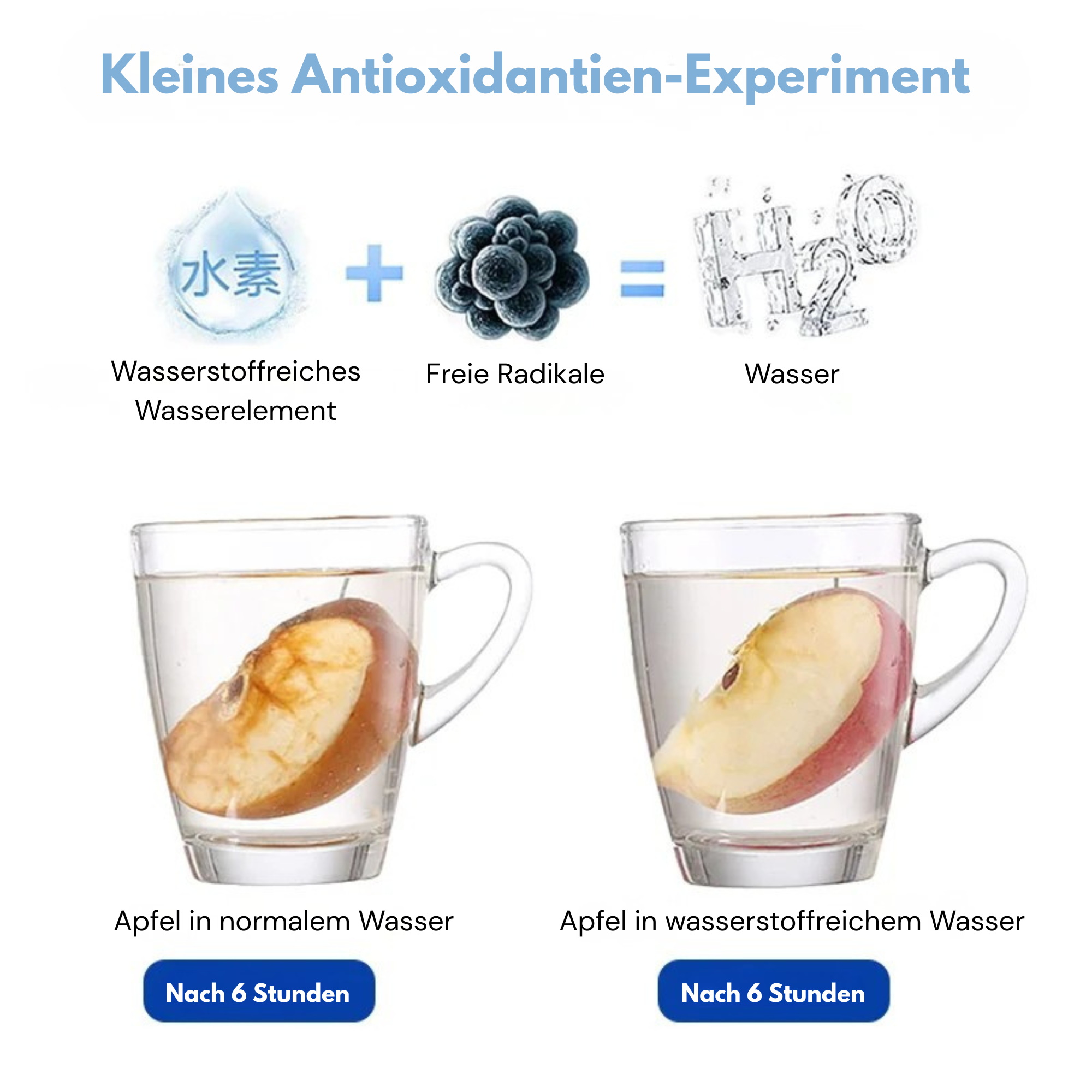 Wasserstoffreicher Elektrischer Hydrogen Wasserbecher