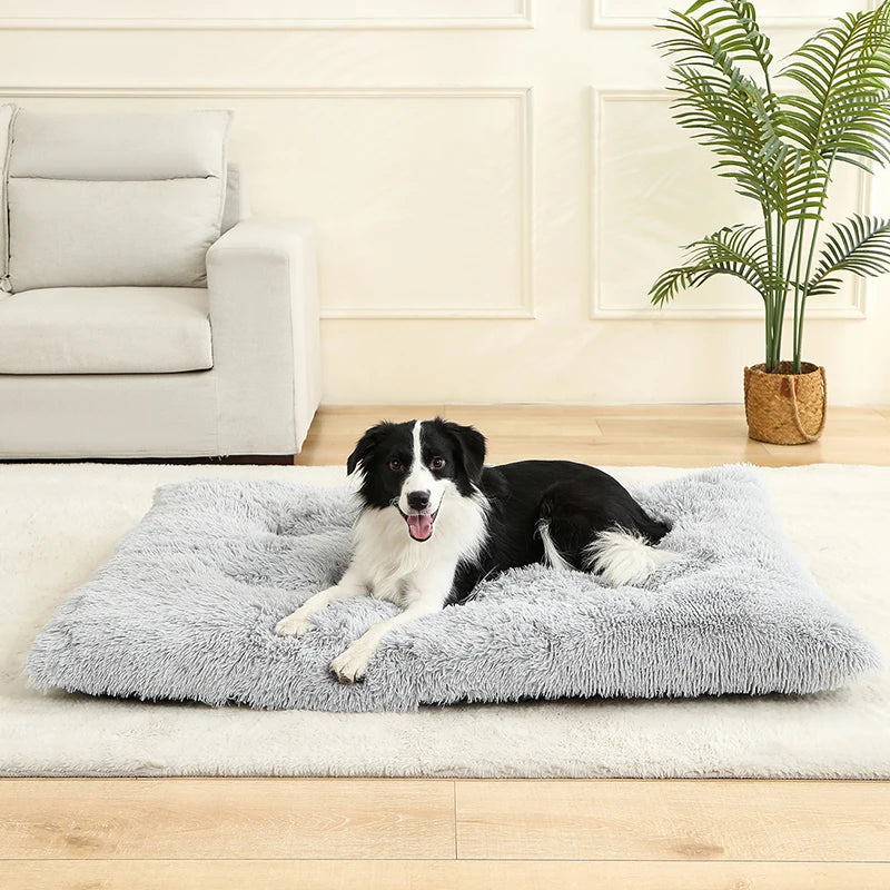Weiches Plüsch-Hundebett – Das gemütliche Zuhause für glückliche Fellnasen
