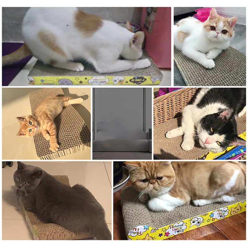 Katzenkratzbrett aus Wellpappe – Robust, Umweltfreundlich & Unwiderstehlich für Ihre Katze