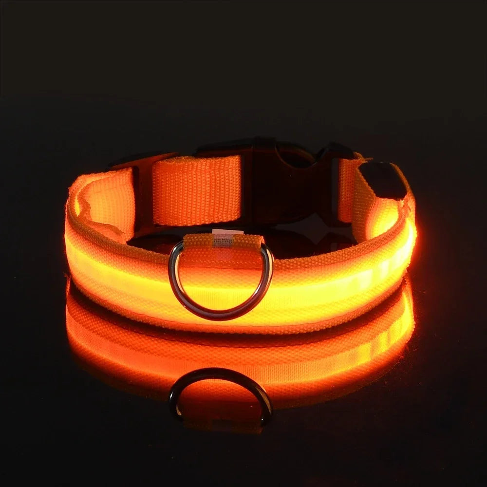 LED Hundehalsband aus Nylon – Sicher unterwegs bei Nacht mit leuchtendem Komfort für Ihren Vierbeiner