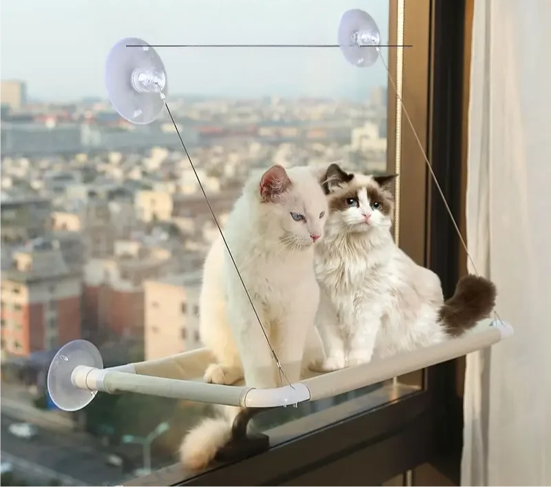 Fenster-Hängematte für Katzen – Komfortabler Sonnenplatz mit 20 kg Tragkraft