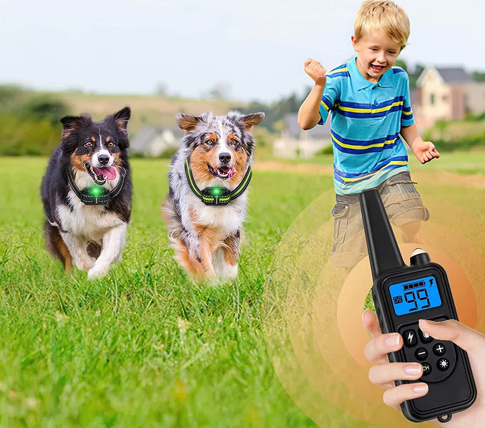 Elektrisches Hundetrainingshalsband – Wasserdicht, Wiederaufladbar & Mit LCD-Display