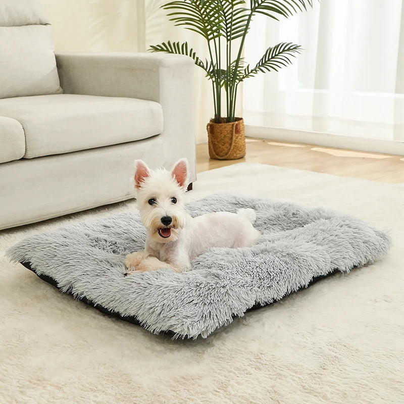 Weiches Plüsch-Hundebett – Das gemütliche Zuhause für glückliche Fellnasen