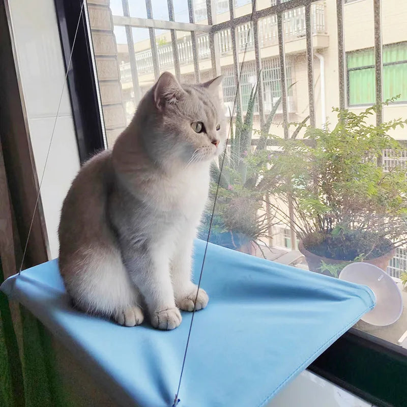 Fenster-Hängematte für Katzen – Komfortabler Sonnenplatz mit 20 kg Tragkraft