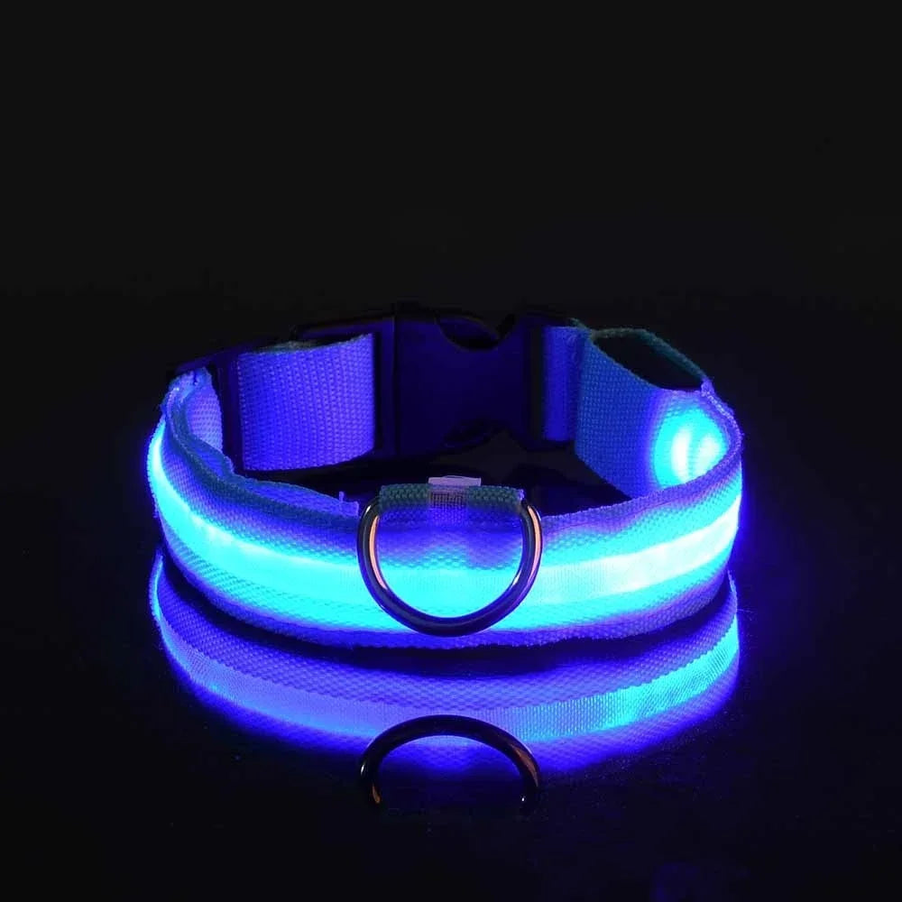 LED Hundehalsband aus Nylon – Sicher unterwegs bei Nacht mit leuchtendem Komfort für Ihren Vierbeiner