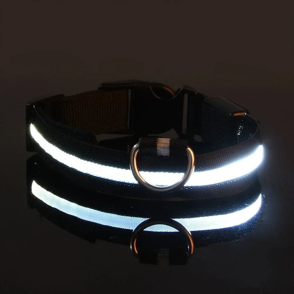 LED Hundehalsband aus Nylon – Sicher unterwegs bei Nacht mit leuchtendem Komfort für Ihren Vierbeiner