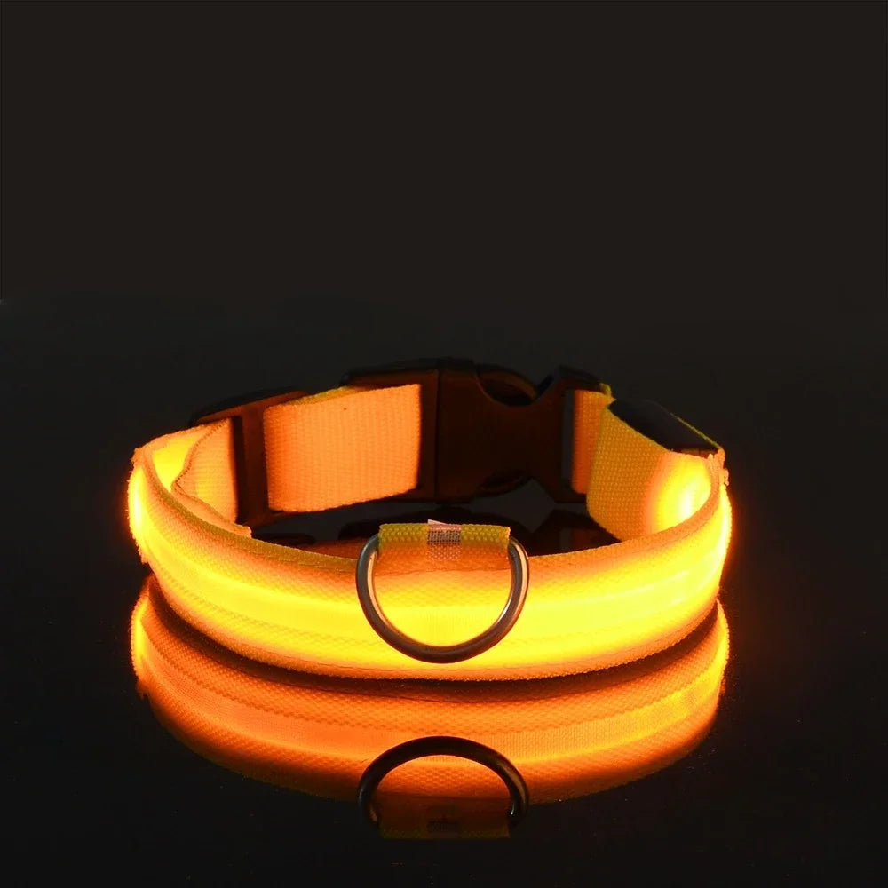 LED Hundehalsband aus Nylon – Sicher unterwegs bei Nacht mit leuchtendem Komfort für Ihren Vierbeiner