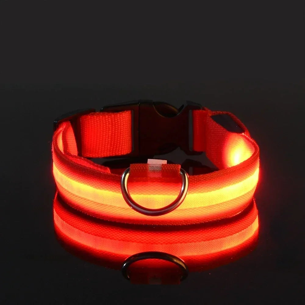 LED Hundehalsband aus Nylon – Sicher unterwegs bei Nacht mit leuchtendem Komfort für Ihren Vierbeiner