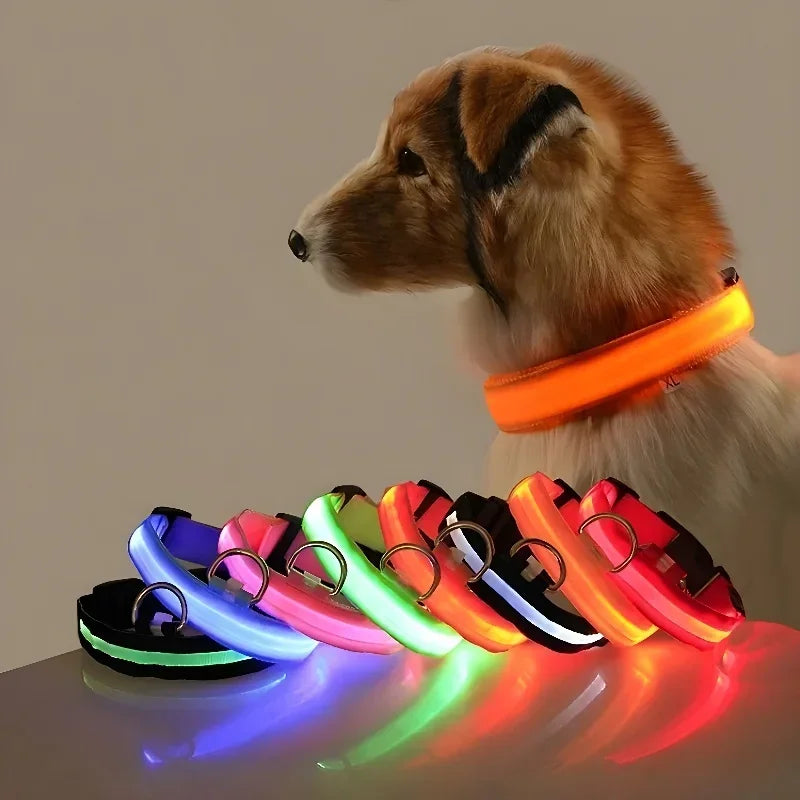 LED Hundehalsband aus Nylon – Sicher unterwegs bei Nacht mit leuchtendem Komfort für Ihren Vierbeiner