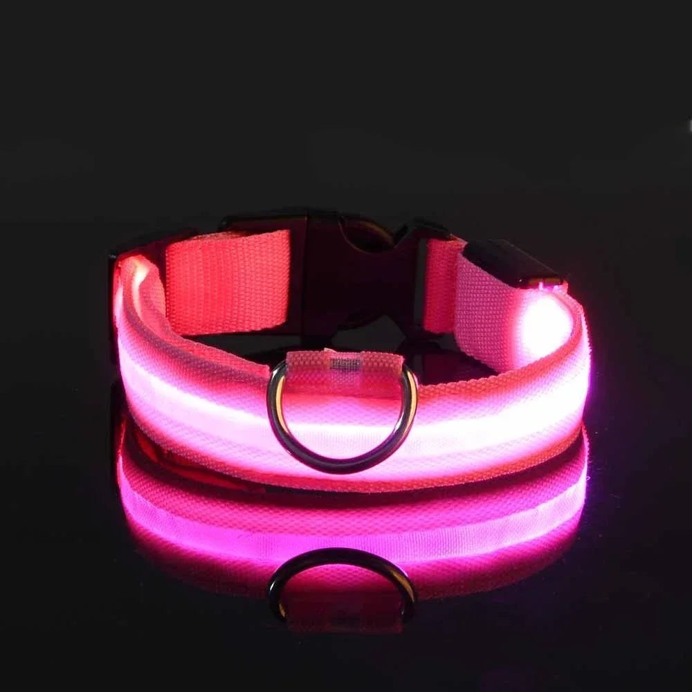 LED Hundehalsband aus Nylon – Sicher unterwegs bei Nacht mit leuchtendem Komfort für Ihren Vierbeiner