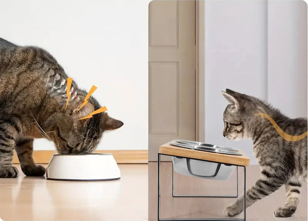 Erhöhte Katzennäpfe 15° – Für gesunde Haltung & glückliche Katzen