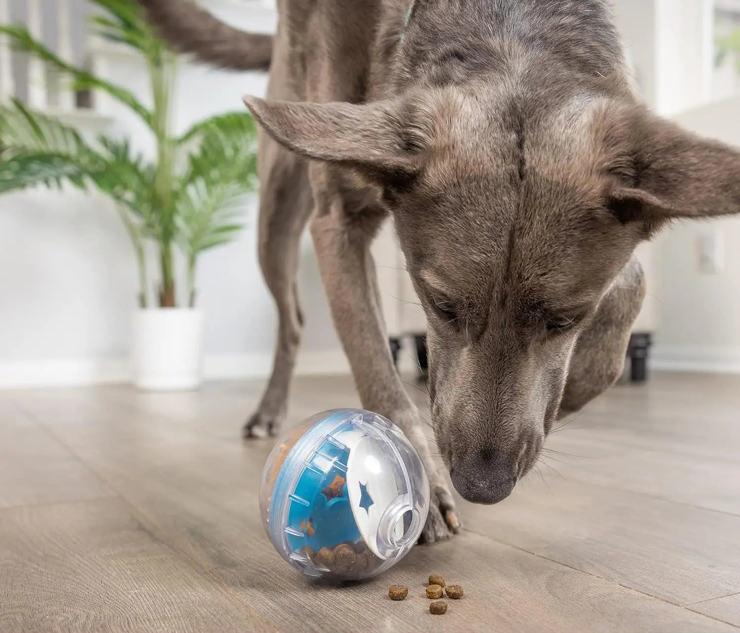 IQ Treat Ball Leckerli-Spender für Hunde – Interaktives Spielzeug zur Futter-Stimulation & Stressabbau