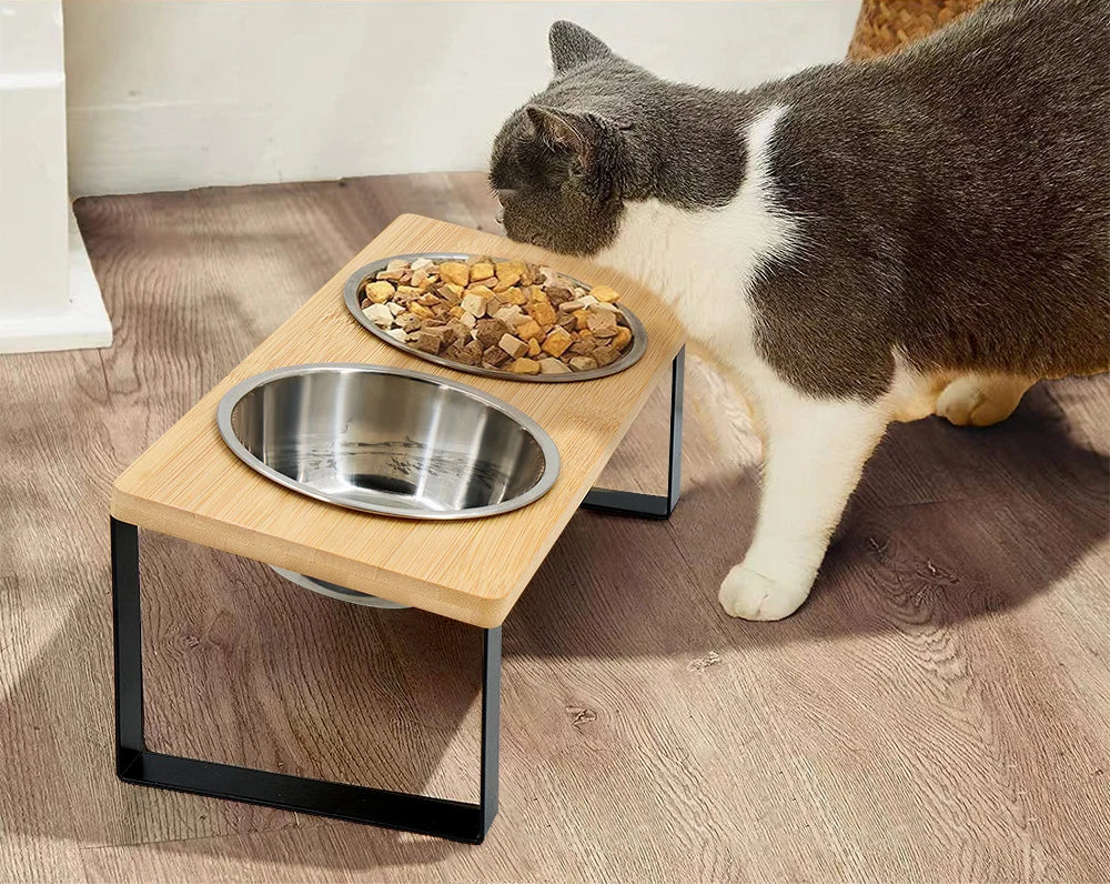 Erhöhte Katzennäpfe 15° – Für gesunde Haltung & glückliche Katzen
