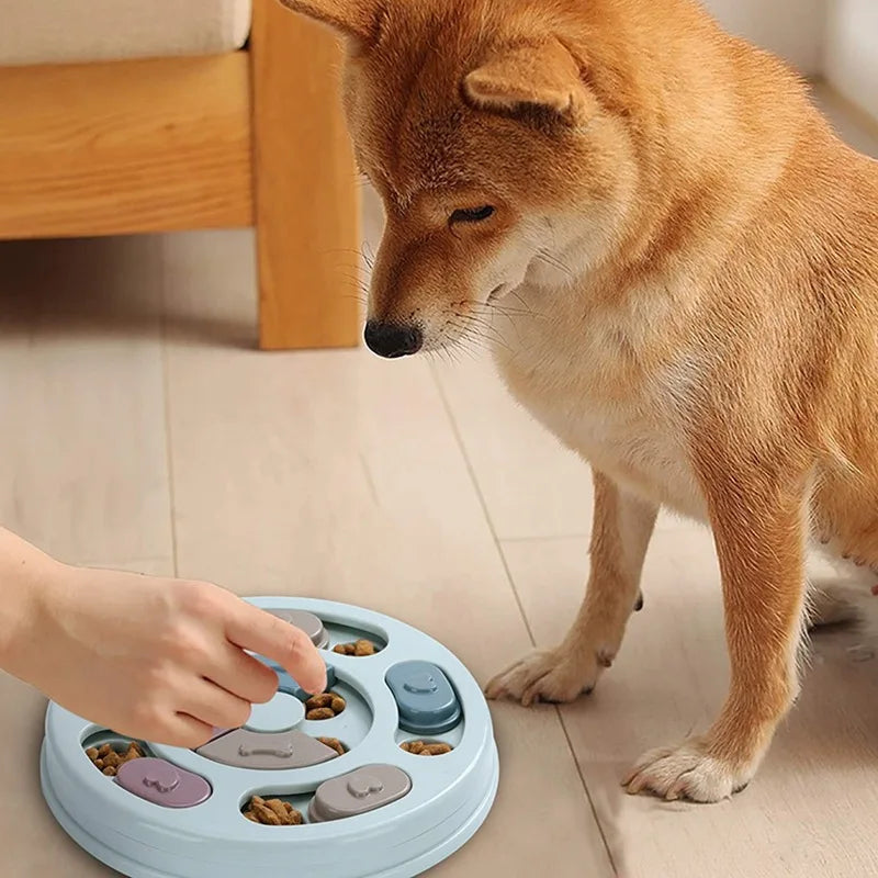 Langsam-Feeder für Hunde – Gesund fressen, glücklicher leben!