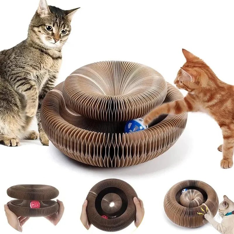 Multifunktionaler Kratzball für Katzen – Spielspaß, Krallenpflege & Rückzugsort - HomiZen