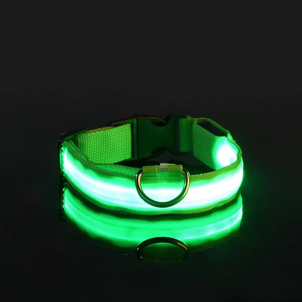 LED Hundehalsband aus Nylon – Sicher unterwegs bei Nacht mit leuchtendem Komfort für Ihren Vierbeiner
