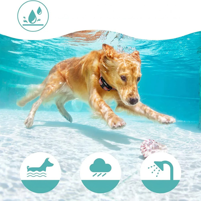 Elektrisches Hundetrainingshalsband – Wasserdicht, Wiederaufladbar & Mit LCD-Display