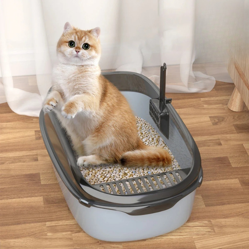 Katzentoilette mit hohen Seiten – Sauberkeit und Komfort für Ihre Samtpfote