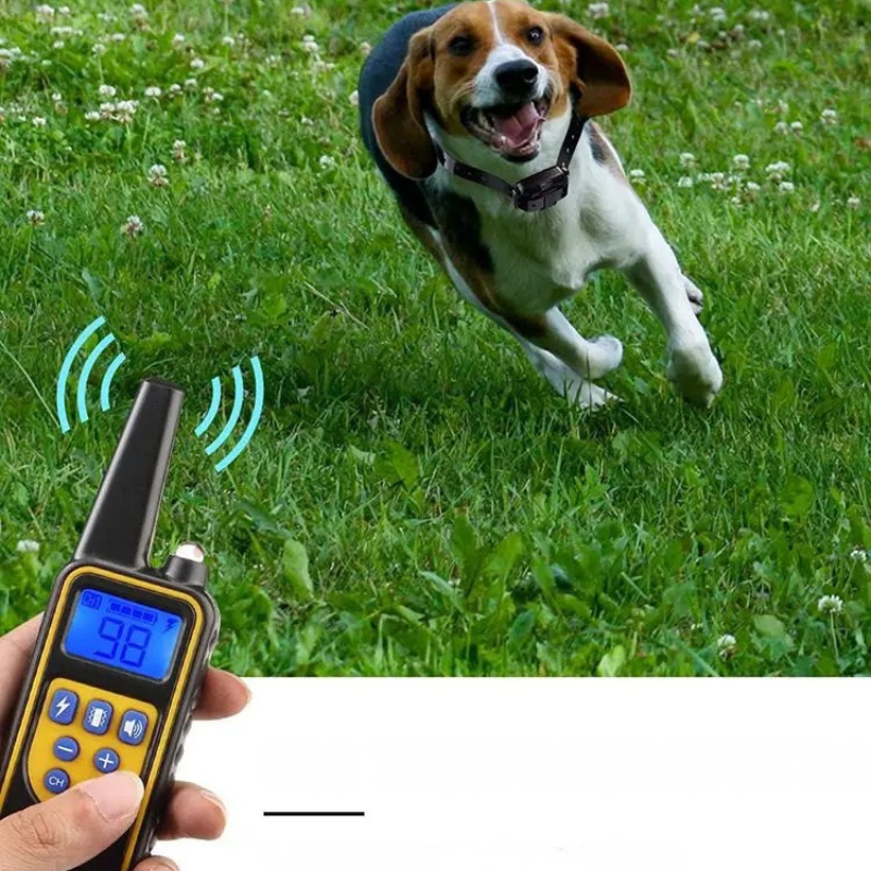 Elektrisches Hundetrainingshalsband – Wasserdicht, Wiederaufladbar & Mit LCD-Display