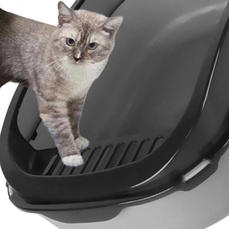 Katzentoilette mit hohen Seiten – Sauberkeit und Komfort für Ihre Samtpfote