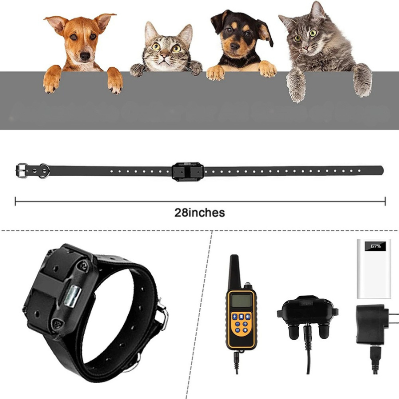 Elektrisches Hundetrainingshalsband – Wasserdicht, Wiederaufladbar & Mit LCD-Display
