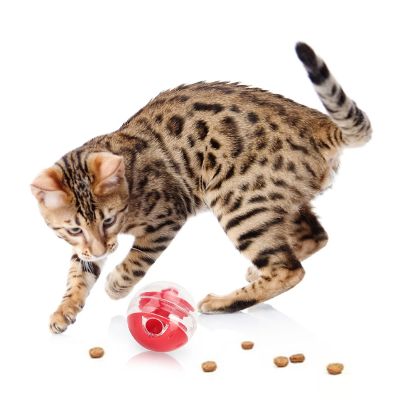 Katzenfutter Spender Ball – Interaktiver, Bissresistenter Slow Feeder Puzzle Ball für Katzen & Kätzchen